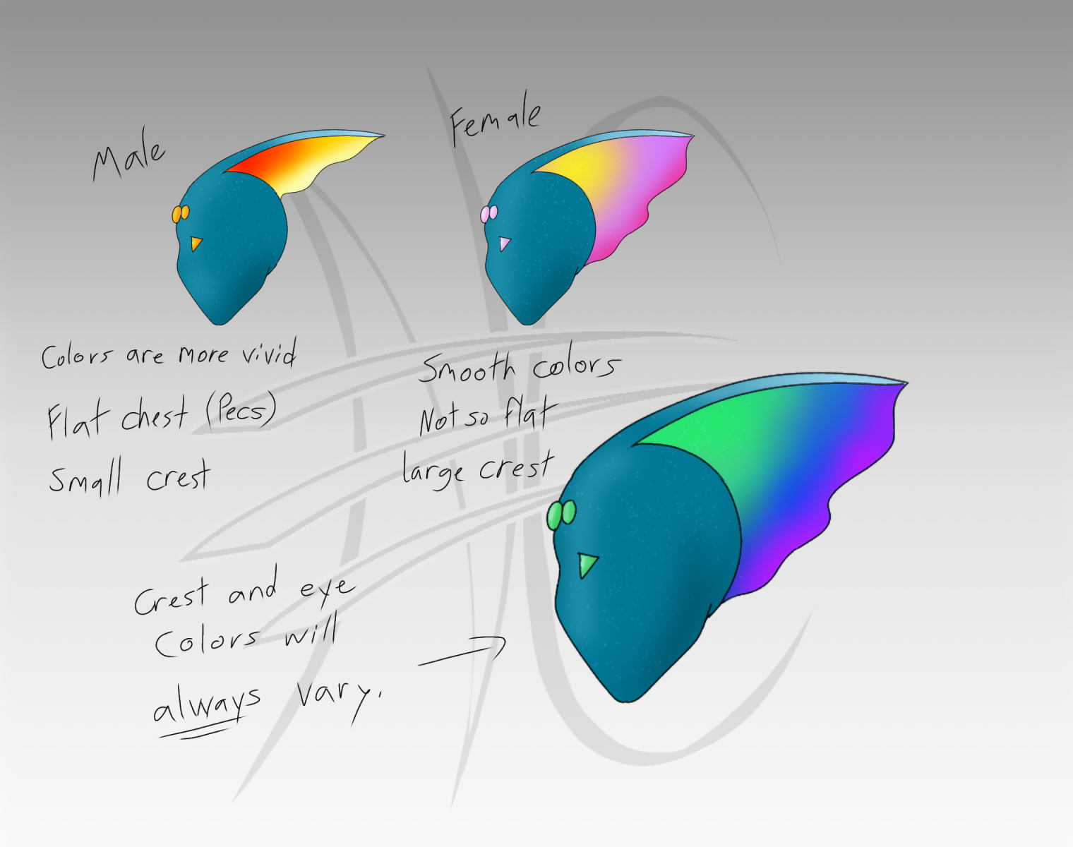 Reference: Species Gender Identifiation Reference: Species Gender Identifiation
